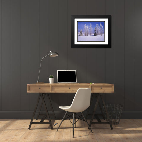 Canada, Manitoba, Birds Hill Provincial Park Black Modern Wood Framed Art Print with Double Matting by Grandmaison, Mike