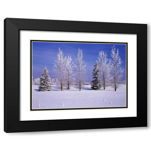 Canada, Manitoba, Birds Hill Provincial Park Black Modern Wood Framed Art Print with Double Matting by Grandmaison, Mike