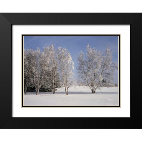Canada, Manitoba, Birds Hill Provincial Park Black Modern Wood Framed Art Print with Double Matting by Grandmaison, Mike