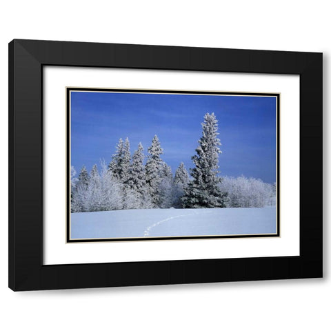 Canada, Manitoba, Birds Hill Provincial Park Black Modern Wood Framed Art Print with Double Matting by Grandmaison, Mike