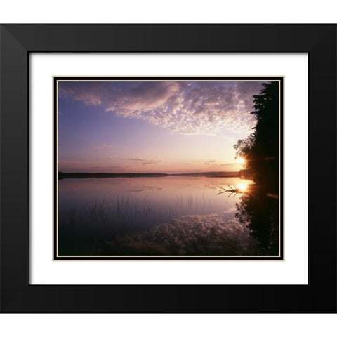 Canada, Manitoba, Duck Mountain Provincial Park Black Modern Wood Framed Art Print with Double Matting by Grandmaison, Mike