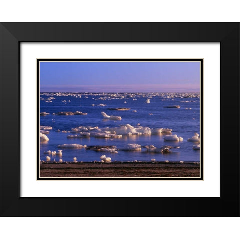 Canada, Churchill, ice floe in Hudson Bay Black Modern Wood Framed Art Print with Double Matting by Grandmaison, Mike