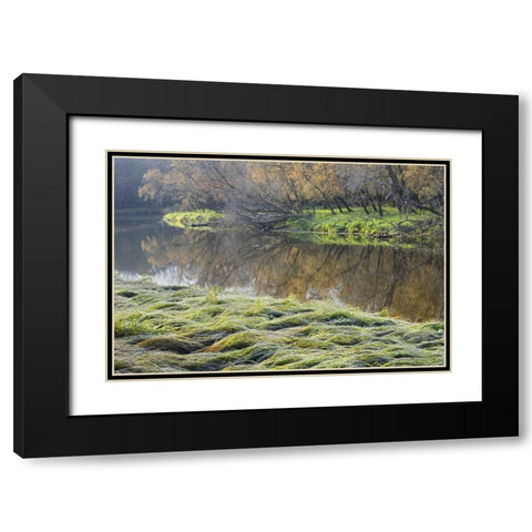 Canada Manitoba Fall on shore of LaSalle River Black Modern Wood Framed Art Print with Double Matting by Grandmaison, Mike