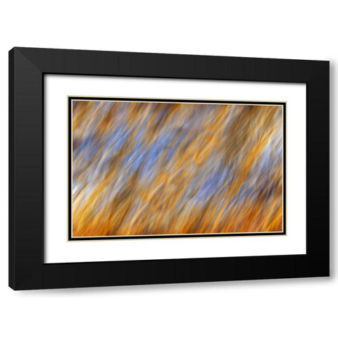 Canada, Manitoba Abstract of autumn leaves Black Modern Wood Framed Art Print with Double Matting by Grandmaison, Mike