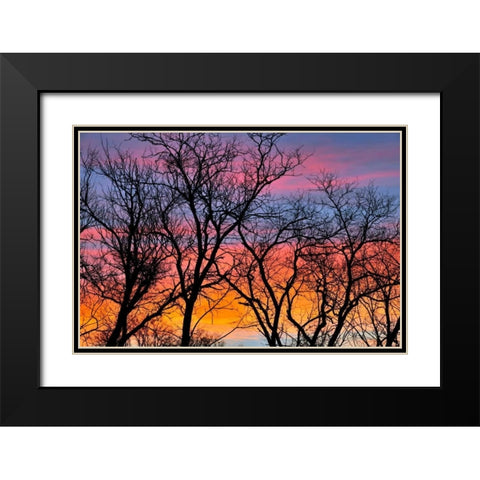 Canada, Manitoba Trees at sunrise Black Modern Wood Framed Art Print with Double Matting by Grandmaison, Mike