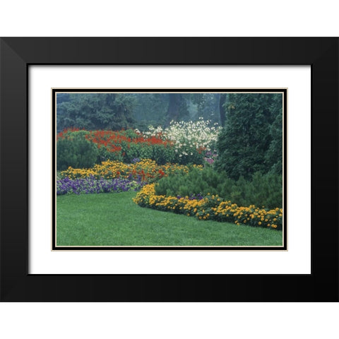 Canada, Manitoba, Winnipeg Garden in light fog Black Modern Wood Framed Art Print with Double Matting by Grandmaison, Mike
