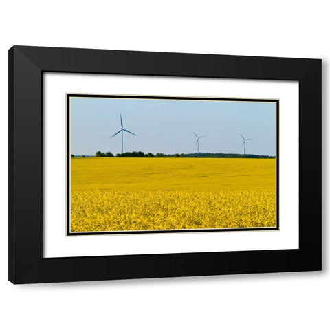 Canada, Somerset Wind turbines and canola Black Modern Wood Framed Art Print with Double Matting by Grandmaison, Mike