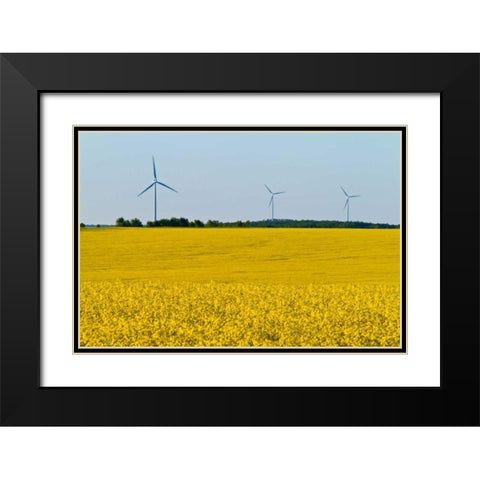 Canada, Somerset Wind turbines and canola Black Modern Wood Framed Art Print with Double Matting by Grandmaison, Mike