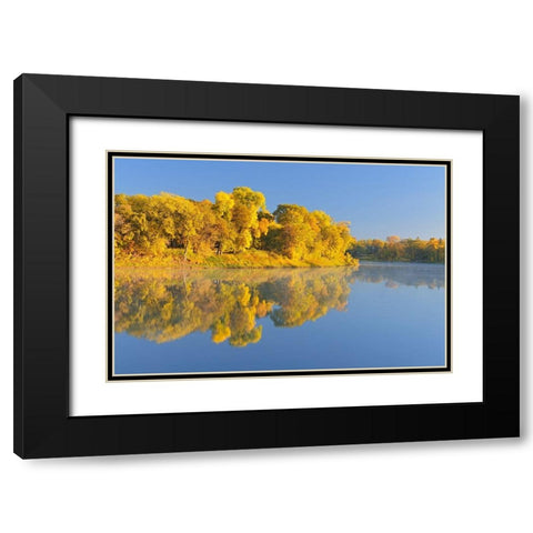 Canada-Manitoba-Winnipeg Forest reflected in Red River at sunrise Black Modern Wood Framed Art Print with Double Matting by Jaynes Gallery