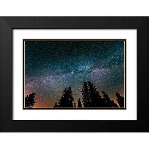 Canada-Manitoba-Milky Way Galaxy and starry night with white spruce in foreground Black Modern Wood Framed Art Print with Double Matting by Jaynes Gallery