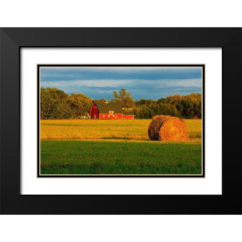 Canada-Manitoba-Matlock Red barn and bale at sunrise Black Modern Wood Framed Art Print with Double Matting by Jaynes Gallery