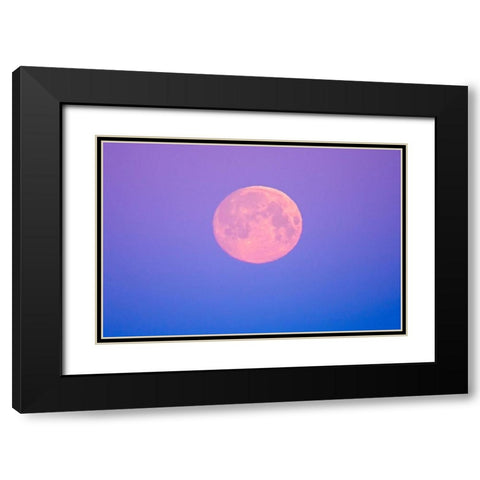 Canada-Manitoba-Dugald Full moon at dawn Black Modern Wood Framed Art Print with Double Matting by Jaynes Gallery