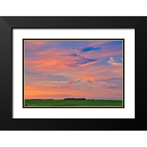Canada-Manitoba-Dugald Clouds at sunset on prairie Black Modern Wood Framed Art Print with Double Matting by Jaynes Gallery