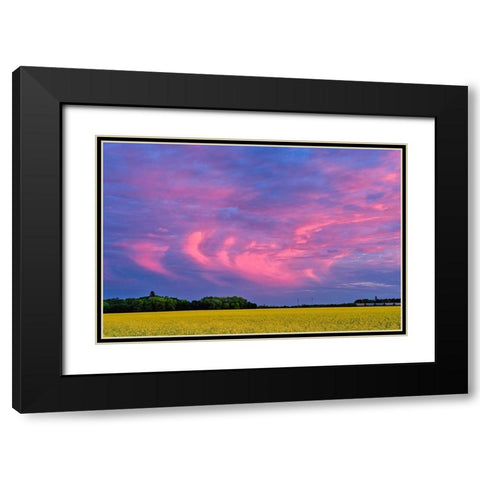 Canada-Manitoba-Dugald Clouds at sunset on prairie Black Modern Wood Framed Art Print with Double Matting by Jaynes Gallery