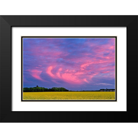 Canada-Manitoba-Dugald Clouds at sunset on prairie Black Modern Wood Framed Art Print with Double Matting by Jaynes Gallery