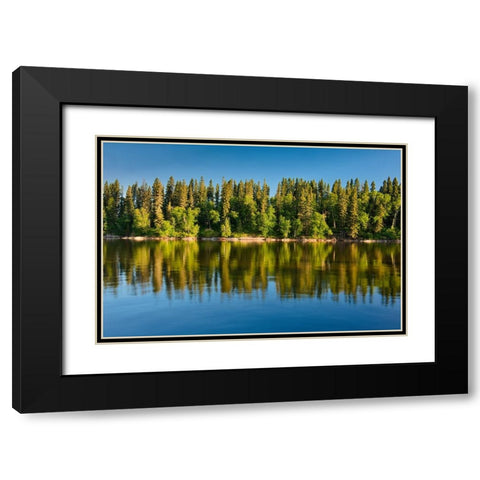 Canada- Manitoba- Paint Lake Provincial Park. Forest reflections on Paint Lake. Black Modern Wood Framed Art Print with Double Matting by Jaynes Gallery