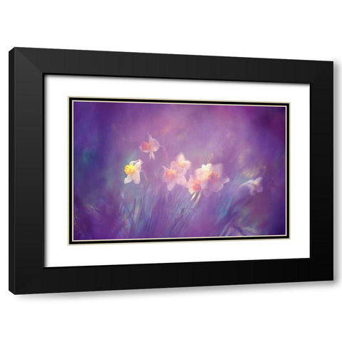 Canada, New Brunswick Abstract of daffodils Black Modern Wood Framed Art Print with Double Matting by Needle, Charles