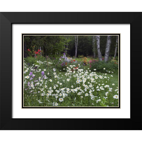Canada, New Brunswick, garden and forest Black Modern Wood Framed Art Print with Double Matting by Anon, Ellen