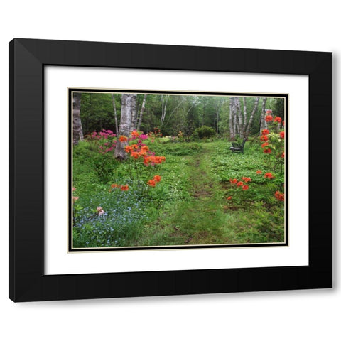 Canada, New Brunswick, garden and forest Black Modern Wood Framed Art Print with Double Matting by Anon, Ellen
