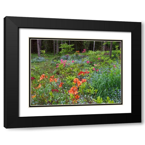 Canada, New Brunswick, garden and forest Black Modern Wood Framed Art Print with Double Matting by Anon, Ellen
