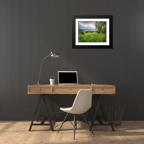 Canada, New Brunswick Landscape of meadow Black Modern Wood Framed Art Print with Double Matting by Anon, Ellen