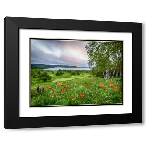 Canada, New Brunswick Landscape of meadow Black Modern Wood Framed Art Print with Double Matting by Anon, Ellen