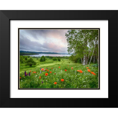 Canada, New Brunswick Landscape of meadow Black Modern Wood Framed Art Print with Double Matting by Anon, Ellen