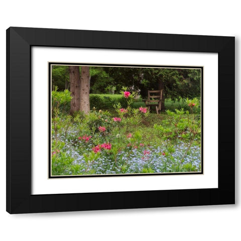 Canada, New Brunswick, garden and forest Black Modern Wood Framed Art Print with Double Matting by Anon, Ellen