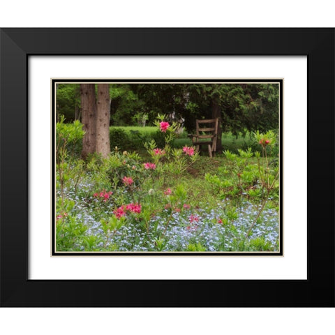 Canada, New Brunswick, garden and forest Black Modern Wood Framed Art Print with Double Matting by Anon, Ellen