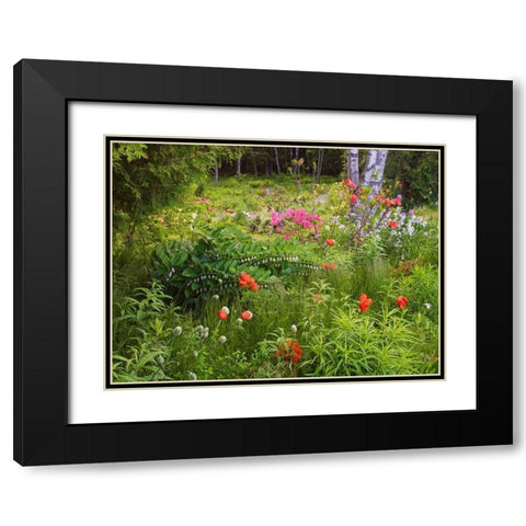 Canada, New Brunswick, garden and forest Black Modern Wood Framed Art Print with Double Matting by Anon, Ellen