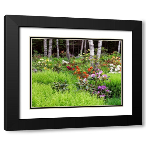 Canada, New Brunswick, garden and forest Black Modern Wood Framed Art Print with Double Matting by Anon, Ellen