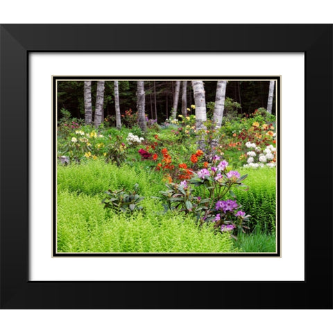 Canada, New Brunswick, garden and forest Black Modern Wood Framed Art Print with Double Matting by Anon, Ellen