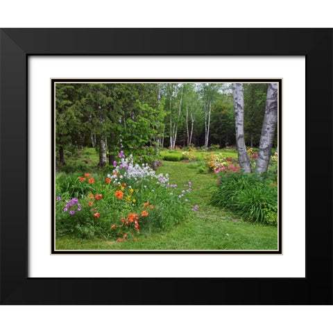 Canada, New Brunswick, garden and forest Black Modern Wood Framed Art Print with Double Matting by Anon, Ellen