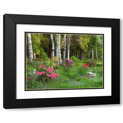 Canada, New Brunswick, Forest and garden Black Modern Wood Framed Art Print with Double Matting by Anon, Ellen