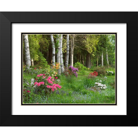 Canada, New Brunswick, Forest and garden Black Modern Wood Framed Art Print with Double Matting by Anon, Ellen