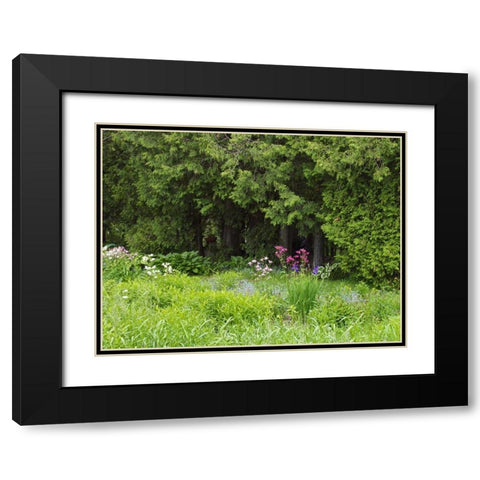 Canada, New Brunswick, Forest and garden Black Modern Wood Framed Art Print with Double Matting by Anon, Ellen