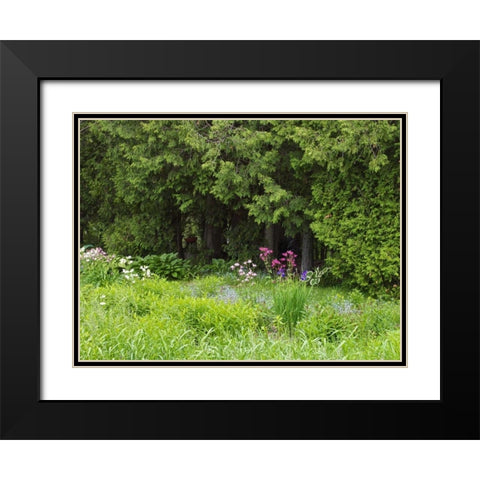 Canada, New Brunswick, Forest and garden Black Modern Wood Framed Art Print with Double Matting by Anon, Ellen