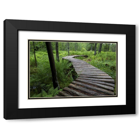 Canada, New Brunswick Log walkway in forest Black Modern Wood Framed Art Print with Double Matting by Anon, Ellen
