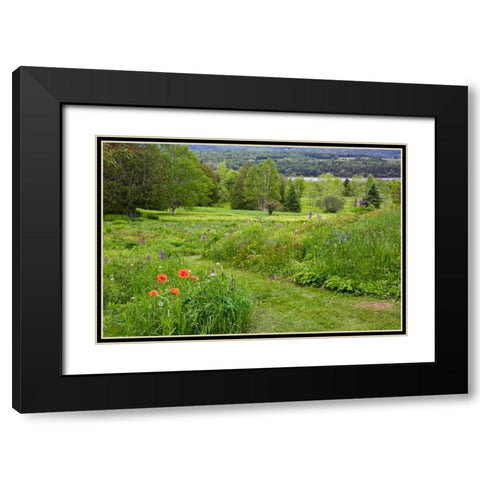 Canada, New Brunswick Landscape of meadow Black Modern Wood Framed Art Print with Double Matting by Anon, Ellen