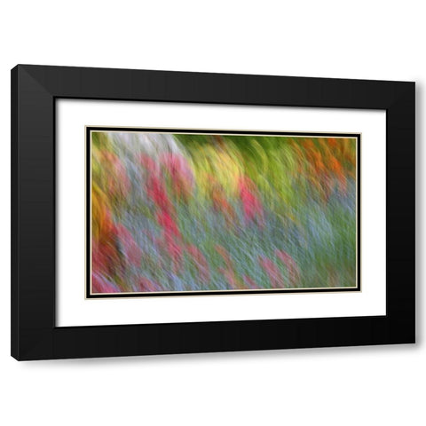 Canada Abstract blur of garden colors Black Modern Wood Framed Art Print with Double Matting by Anon, Ellen