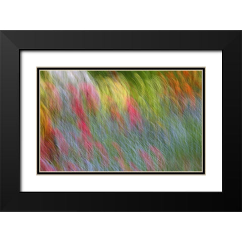 Canada Abstract blur of garden colors Black Modern Wood Framed Art Print with Double Matting by Anon, Ellen