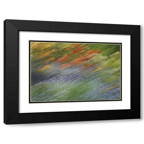 Canada Abstract blur of garden colors Black Modern Wood Framed Art Print with Double Matting by Anon, Ellen