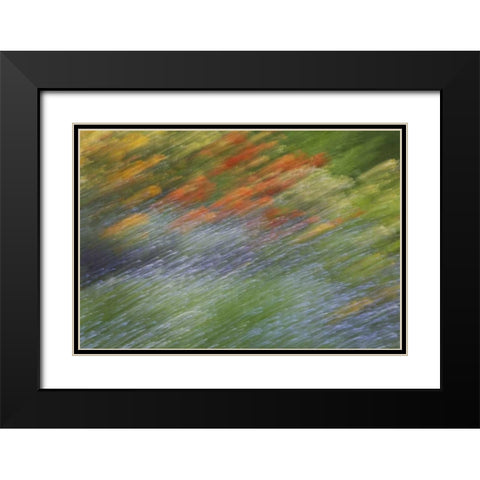Canada Abstract blur of garden colors Black Modern Wood Framed Art Print with Double Matting by Anon, Ellen