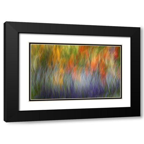 Canada Abstract blur of garden colors Black Modern Wood Framed Art Print with Double Matting by Anon, Ellen