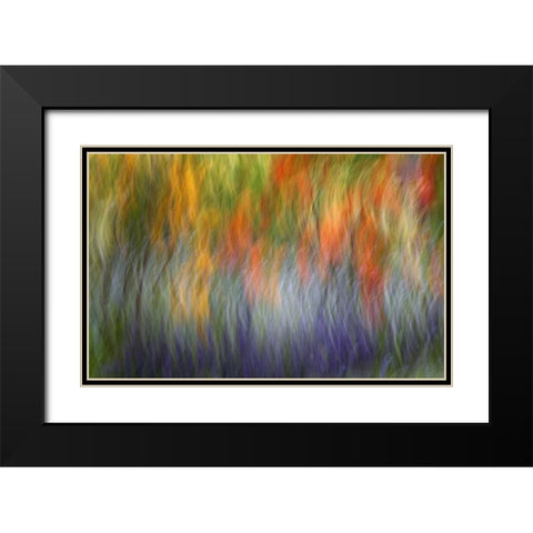 Canada Abstract blur of garden colors Black Modern Wood Framed Art Print with Double Matting by Anon, Ellen