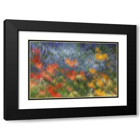 Canada Abstract blur of garden colors Black Modern Wood Framed Art Print with Double Matting by Anon, Ellen