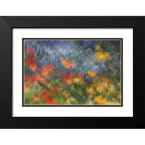 Canada Abstract blur of garden colors Black Modern Wood Framed Art Print with Double Matting by Anon, Ellen