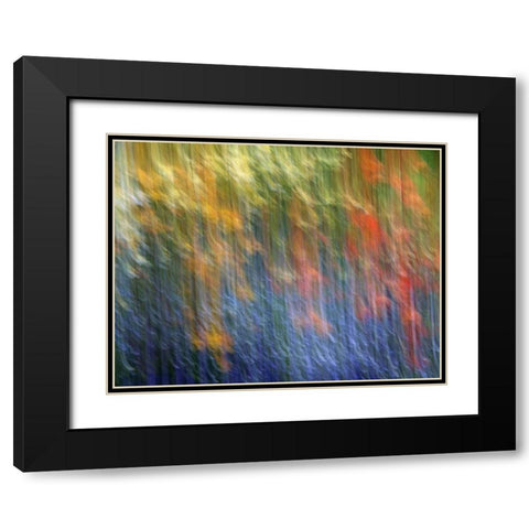 Canada Abstract blur of garden colors Black Modern Wood Framed Art Print with Double Matting by Anon, Ellen