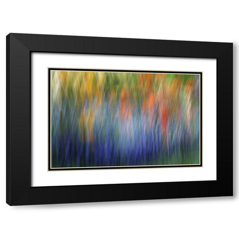 Canada Abstract blur of garden colors Black Modern Wood Framed Art Print with Double Matting by Anon, Ellen