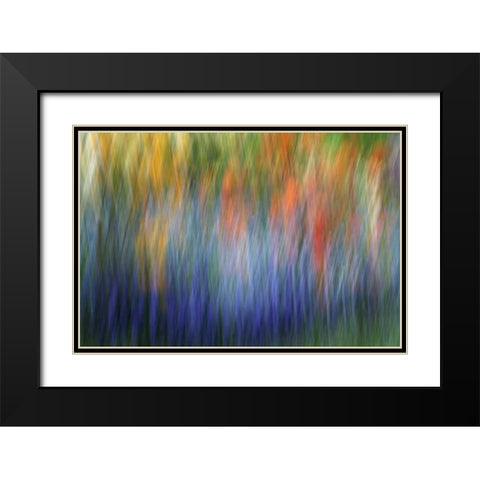 Canada Abstract blur of garden colors Black Modern Wood Framed Art Print with Double Matting by Anon, Ellen